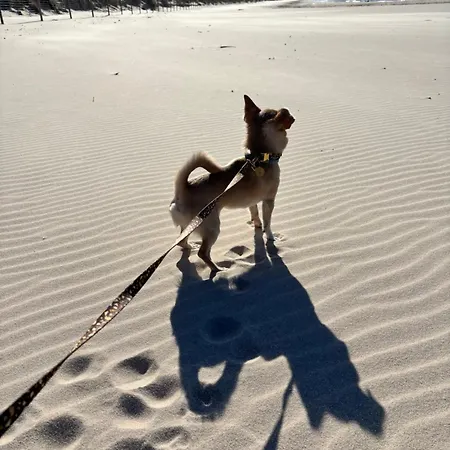 Station touristique Centrum Wypoczynku Victoria Grzybowo (West Pomeranian)