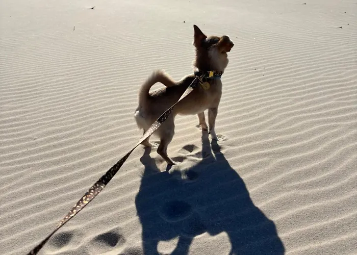 Station touristique Centrum Wypoczynku Victoria Grzybowo (West Pomeranian)
